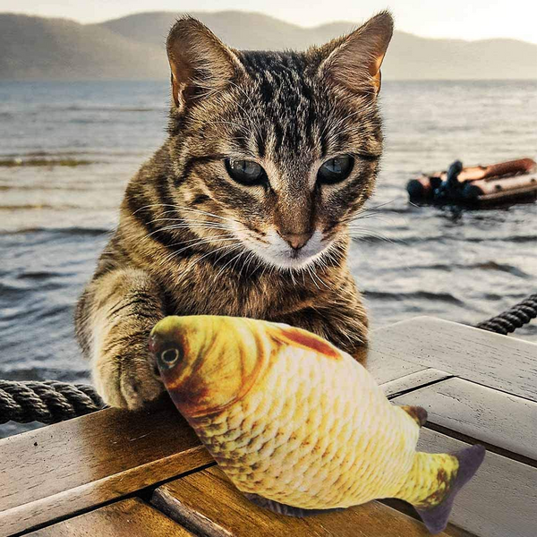 hi桜の花 猫おもちゃ 丈夫 猫遊び ぬいぐるみ お魚